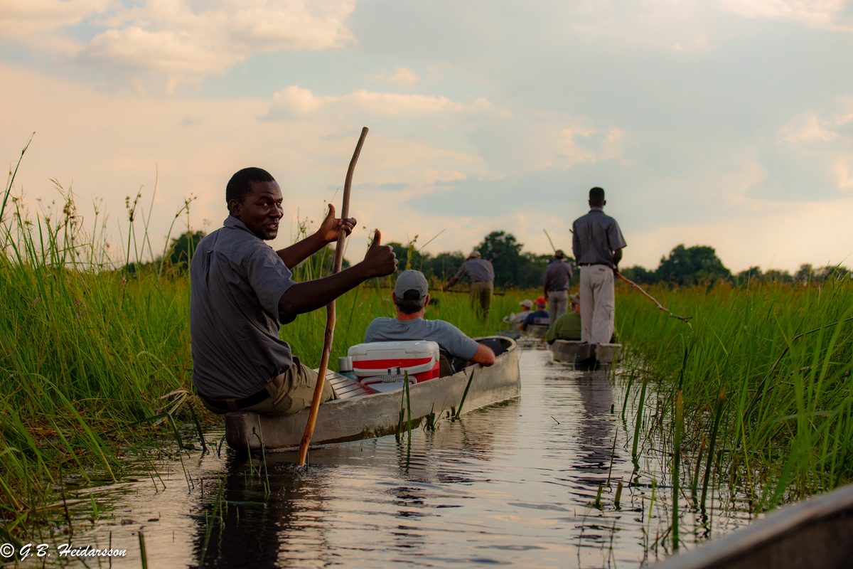 A poler guiding a mokoro through the Okavango reeds